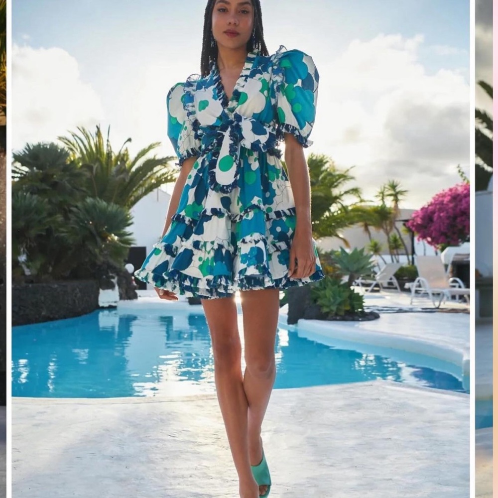 Celia B Dress NWOT